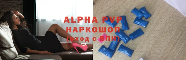 спайс Пересвет