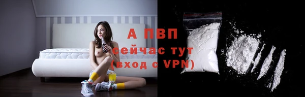 гидра Арсеньев