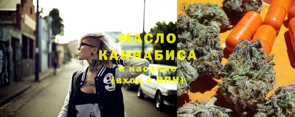 мдпв Пестово