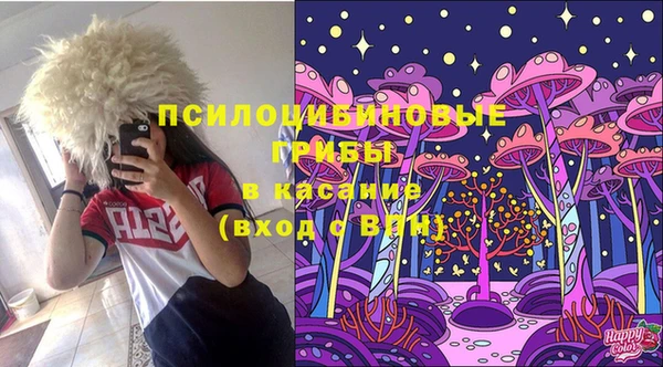 спиды Аркадак