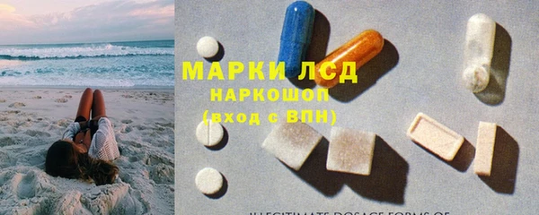 спиды Аркадак