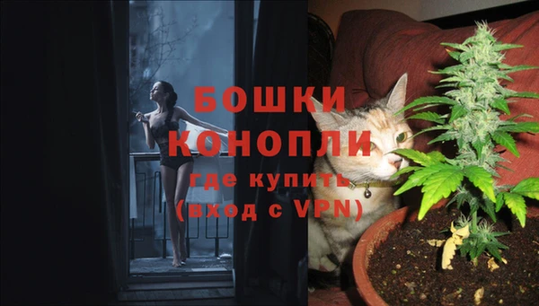 спиды Аркадак